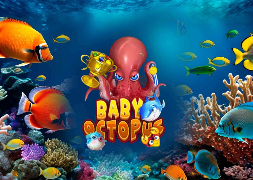 Baby Octopus